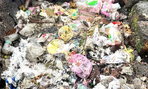 അശാസ്ത്രീയ മാലിന്യ സംസ്കരണം; ക്വാർട്ടേഴ്‌സുകൾക്ക് 30,000 രൂപ പിഴ