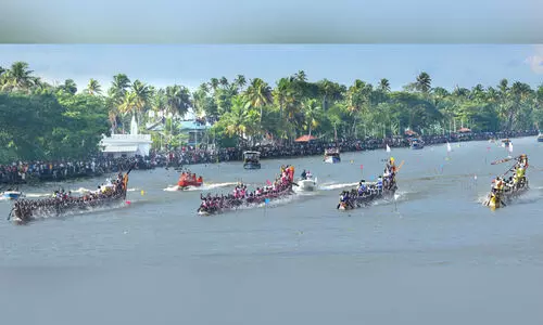 വാട്ടർ ഫീൽഡ്