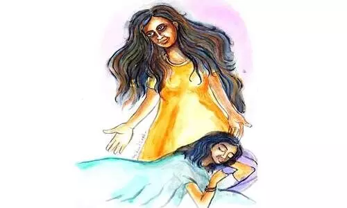 നെ​​​മോ മോ​​​റി​​​റ്റു​​​റ​​​സ് പ്ര​​​സു​​​മീ​​​റ്റ​​​ർ മെ​​​ന്റ​​​യ​​​ർ