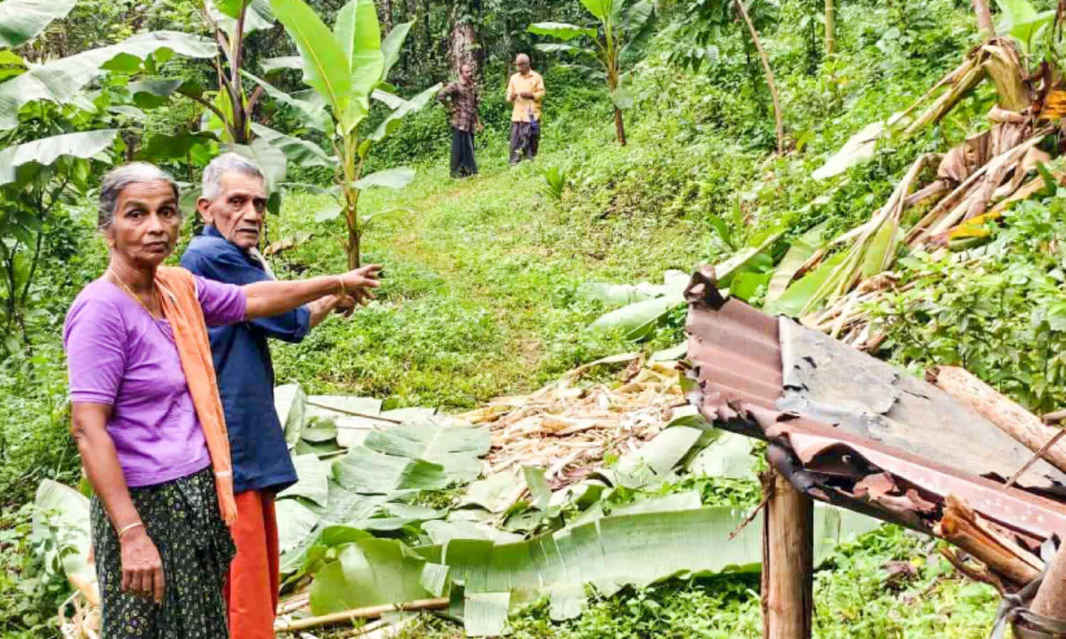 രാത്രി വീടിന്‍റെ ഉമ്മറത്ത്​ കാട്ടാന; വയോ ദമ്പതികൾ രക്ഷപ്പെട്ടത്​ തലനാരിഴക്ക്​