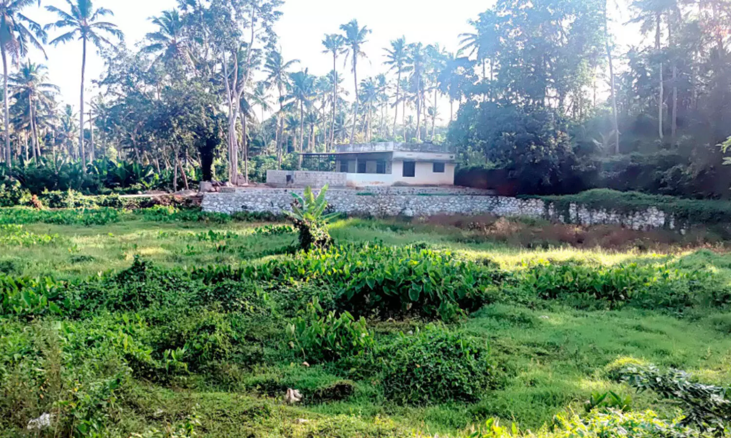 pond renovation work