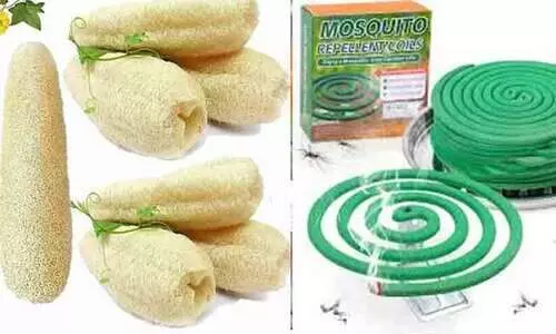Loofah, Mosquito coils Loofah, Mosquito coils