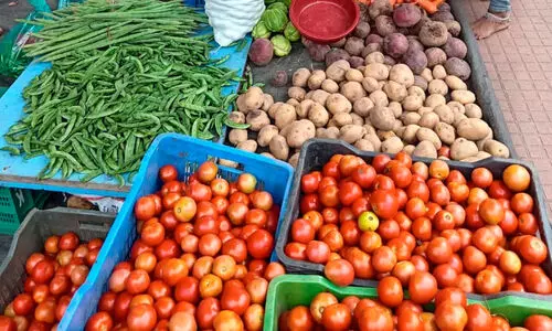 Vegetable prices are rising