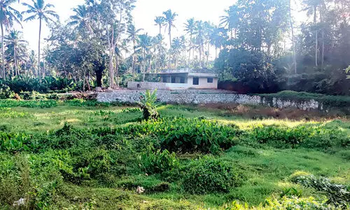 pond renovation work