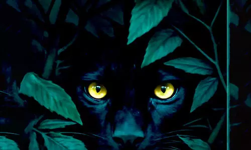 സജീവൻ സജീവൻ