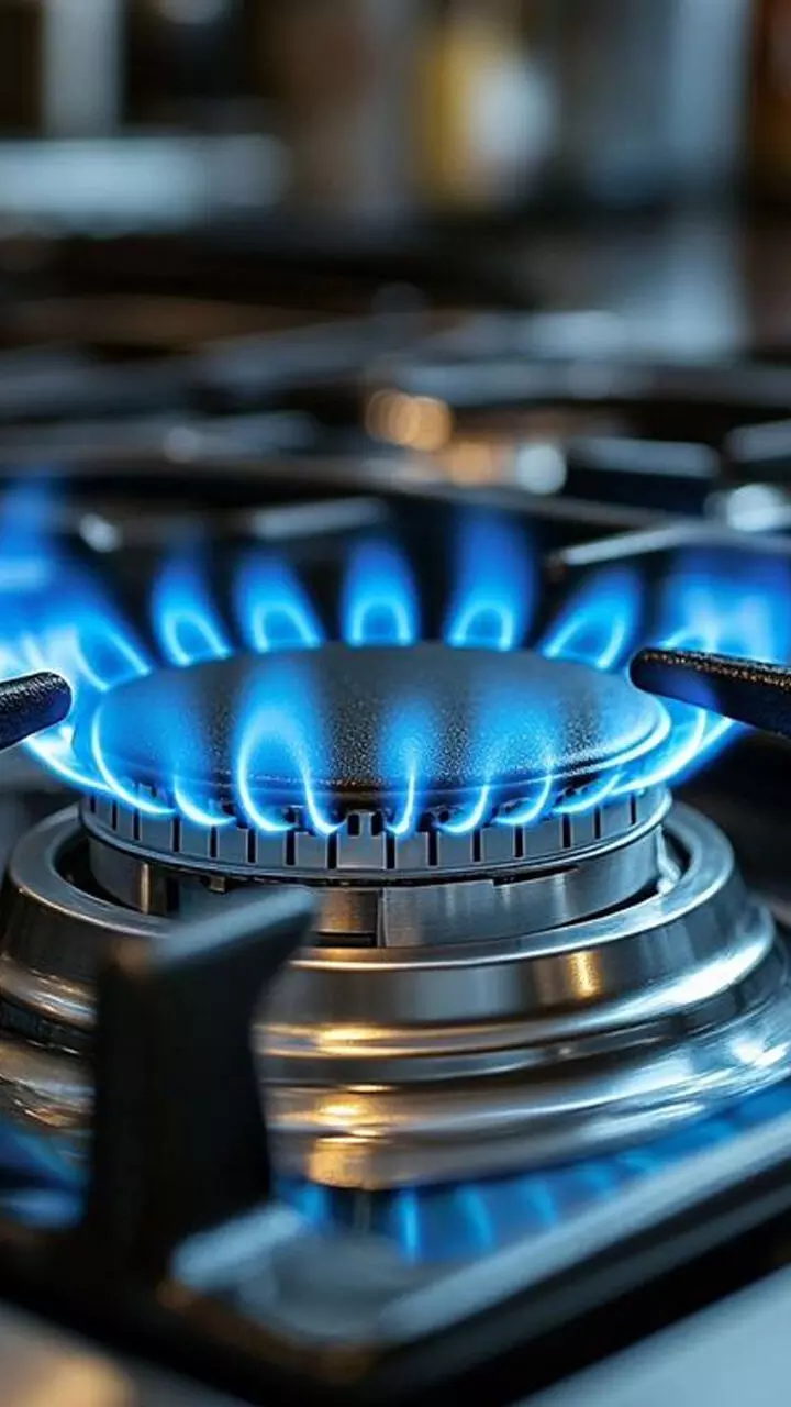 പാചകവാതകം പെട്ടെന്ന് തീരുന്നുണ്ടോ? ഇക്കാര്യങ്ങൾ ശ്രദ്ധിക്കൂ...