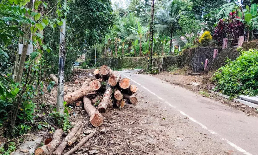 road accidents road accidents