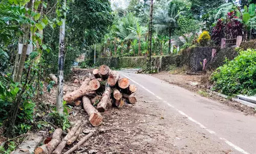 road accidents road accidents