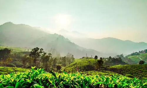 idukki tourism during onam season