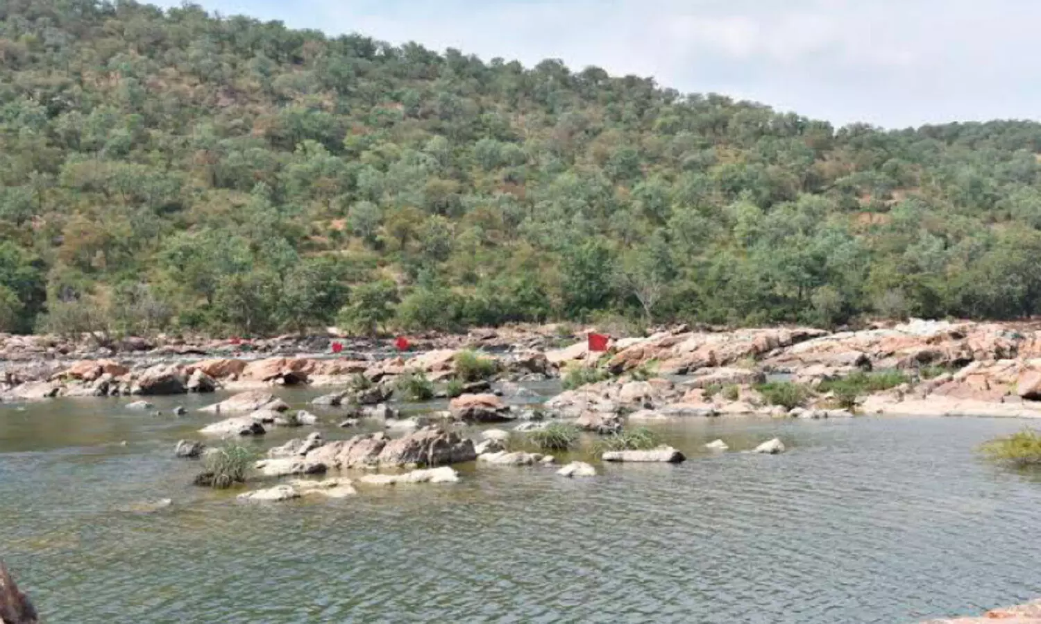 karnataka governments bail to suprime court