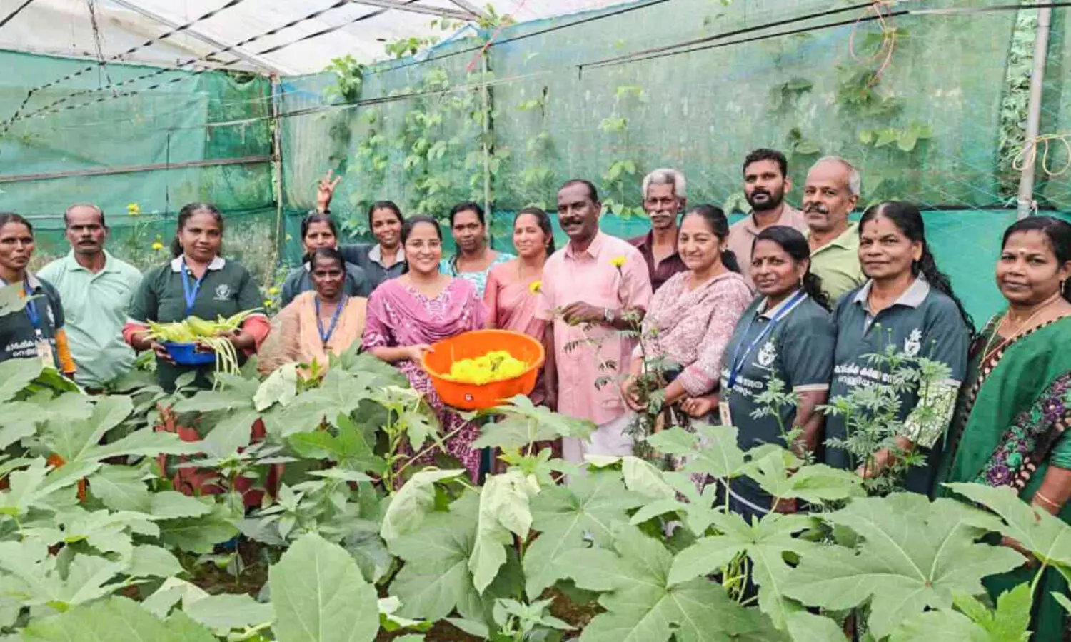 onam special harvest