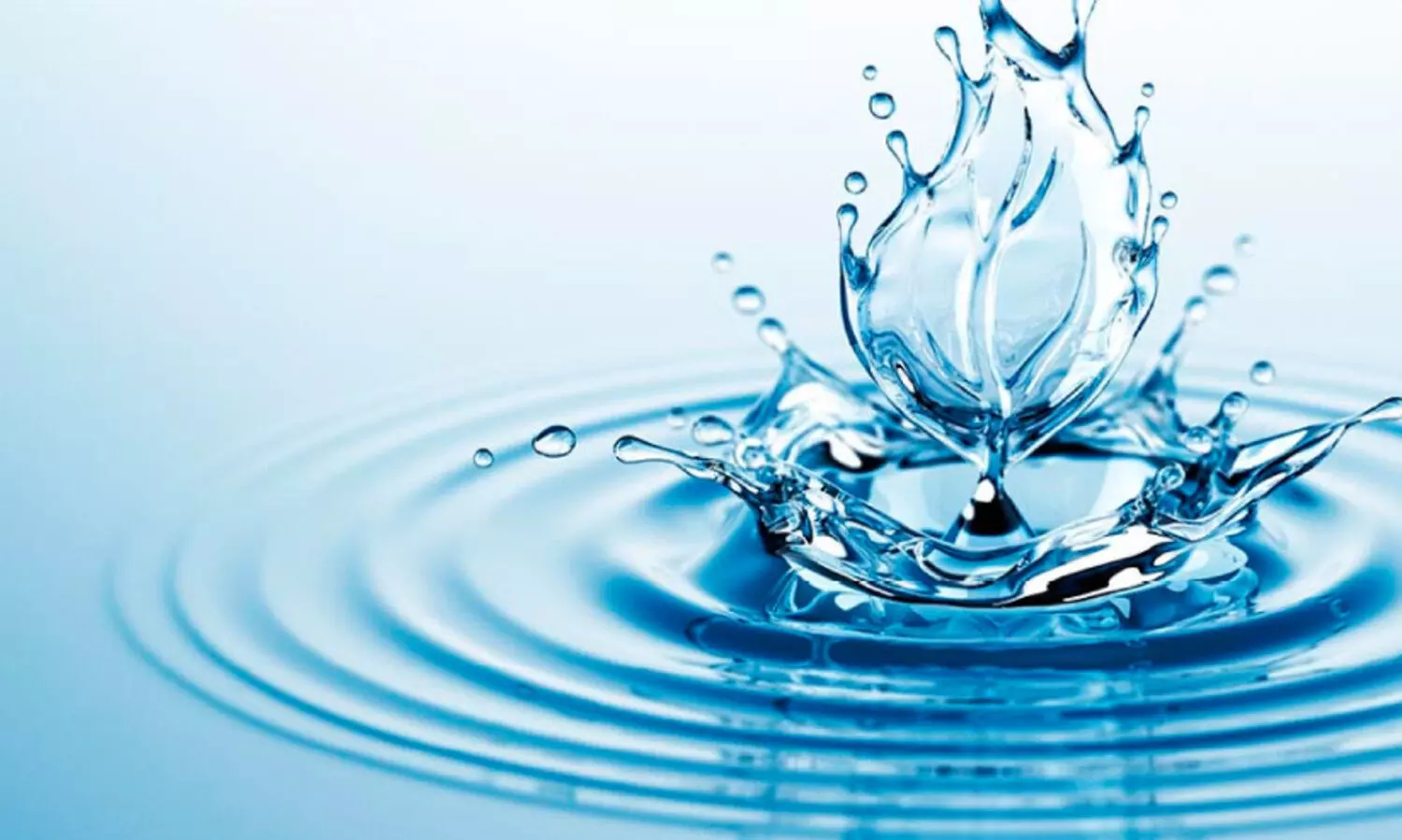 water-borne diseases