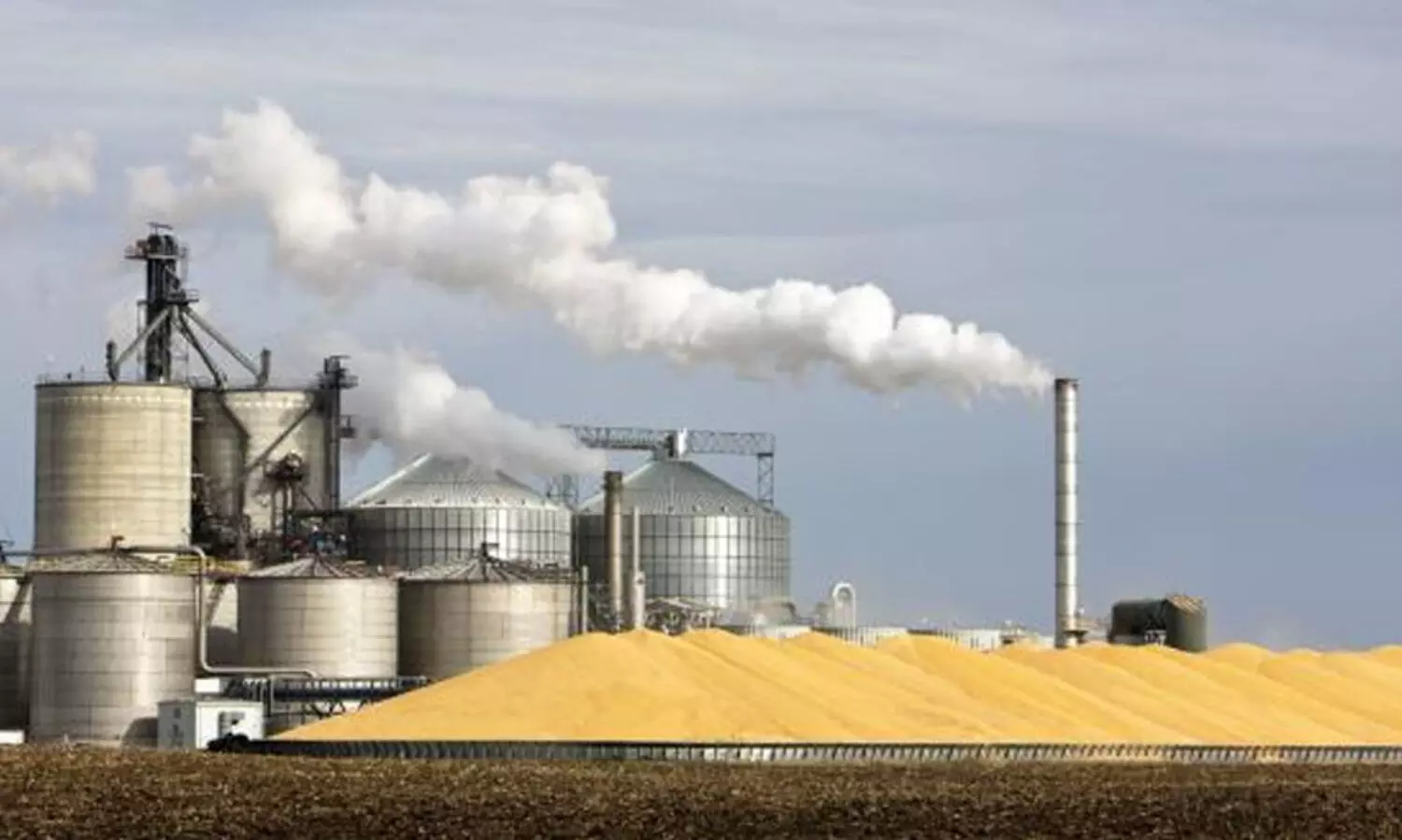 എഥനോൾ പെട്രോളിൽ ചേർക്കുമ്പോൾ ആട്ട, മൈദ, സൂചി വില കൂടുന്നതെങ്ങനെ?