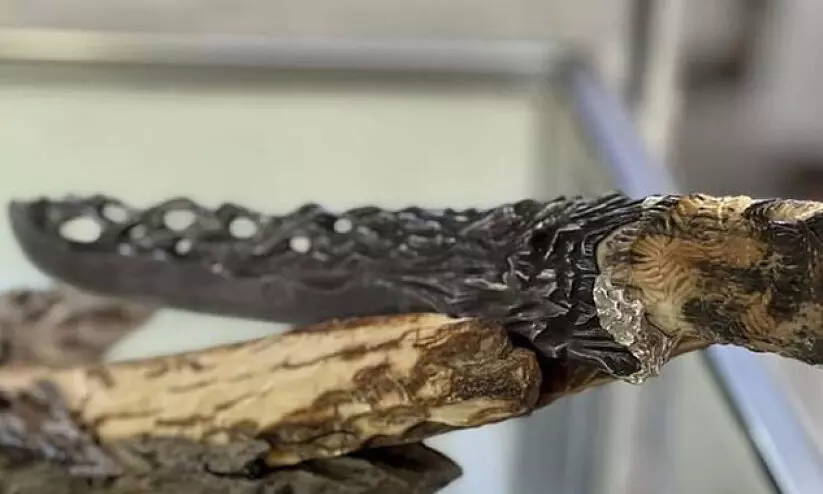 അഡിഹെക്സിൽ ശ്രദ്ധയാകർഷിച്ച്​ അപൂര്‍വ കത്തി