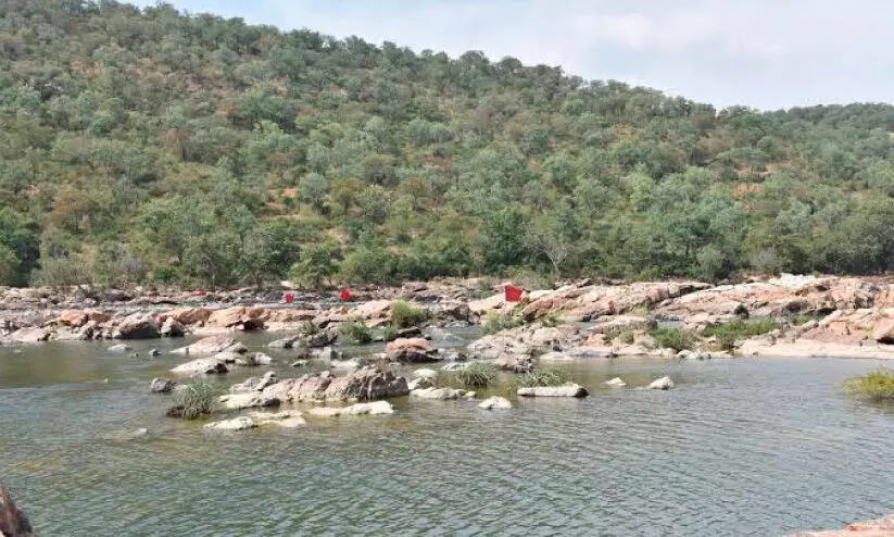 karnataka governments bail to suprime court