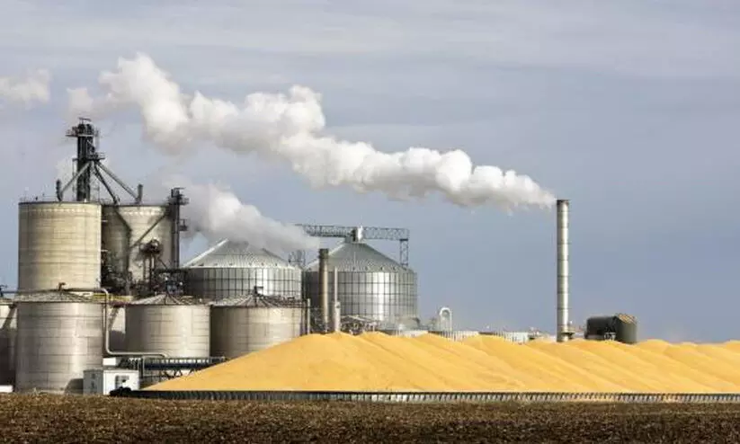 എഥനോൾ പെട്രോളിൽ ചേർക്കുമ്പോൾ ആട്ട, മൈദ, സൂചി വില കൂടുന്നതെങ്ങനെ?