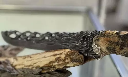 അഡിഹെക്സിൽ ശ്രദ്ധയാകർഷിച്ച്​ അപൂര്‍വ കത്തി