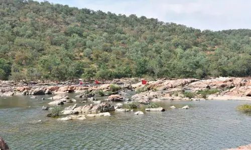 karnataka governments bail to suprime court