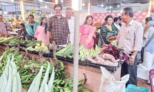 agriculture festival