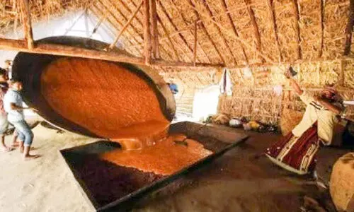 Marayur Jaggery and Geographical Indication Status