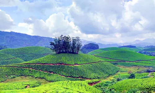 വി​നോ​ദ​സ​ഞ്ചാ​ര കേ​ന്ദ്ര​ങ്ങ​ളു​ണ​ർ​ന്നു