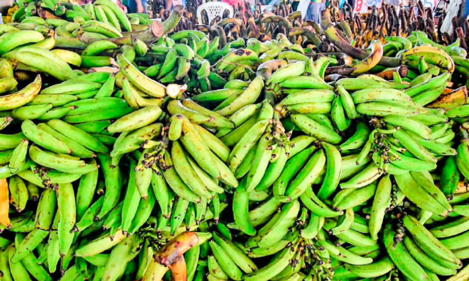 വില ഇടി​​ഞ്ഞെങ്കിലും നാടൻ നേന്ത്രക്കായ കിട്ടാനില്ല