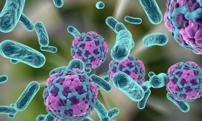 ഓണം, നബിദിനം: മഞ്ഞപ്പിത്തം തടയാൻ ആരോഗ്യ വകുപ്പ് ഓണം, നബിദിനം: മഞ്ഞപ്പിത്തം തടയാൻ ആരോഗ്യ വകുപ്പ്