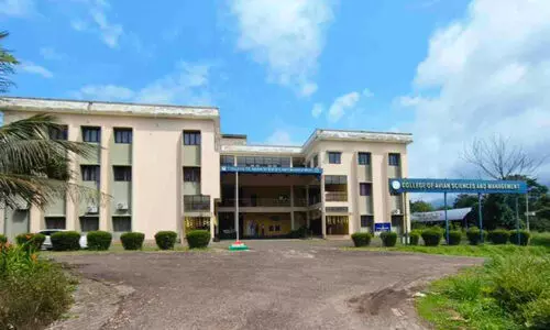 jobs for all graduates