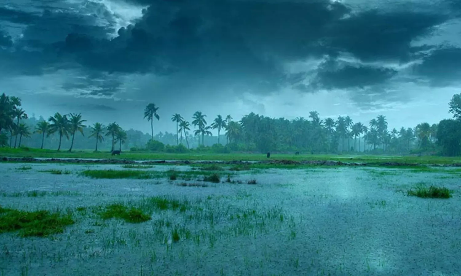 മൺസൂണിൽ പോകാവുന്ന ഇന്ത്യയിലെ ആറ് കിടിലം സ്ഥലങ്ങൾ...