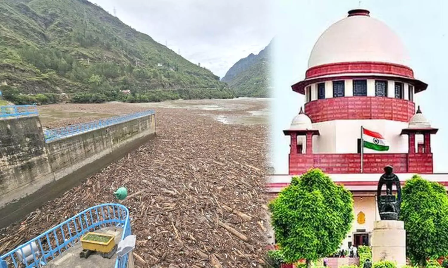 വെള്ളപ്പൊക്കം: ഹിമാലയത്തിലെ അനധികൃത മരംമുറി ചൂണ്ടിക്കാട്ടി വിമർശനവുമായി സുപ്രീംകോടതി