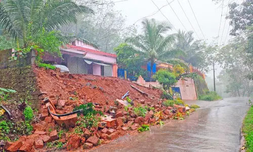 തീവ്ര മഴ; മലയോരത്ത് വ്യാപക നാശനഷ്ടം