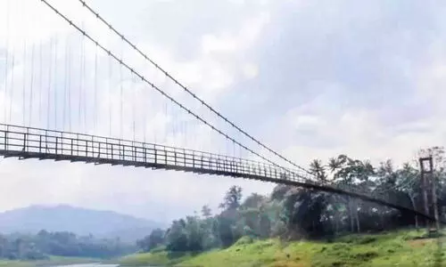 അപകടഭീഷണിയിൽ അയ്യപ്പൻകോവിൽ തൂക്കുപാലം അപകടഭീഷണിയിൽ അയ്യപ്പൻകോവിൽ തൂക്കുപാലം