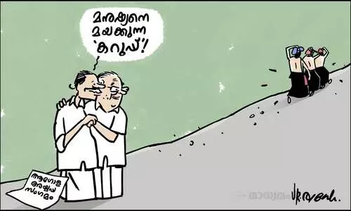 മനുഷ്യനെ മയക്കുന്ന കറുപ്പ്