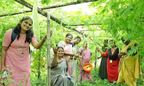 പൂക്കളത്തിലും സദ്യയിലും കുടുംബശ്രീയോണം