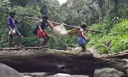 വീണ്ടും രോഗിയെ മഞ്ചൽ കെട്ടി ചുമന്ന് കിലോമീറ്ററുകൾ താണ്ടി ആശുപത്രിയിലെത്തിച്ച് ഇടമലക്കുടിയിലെ ആദിവാസികൾ