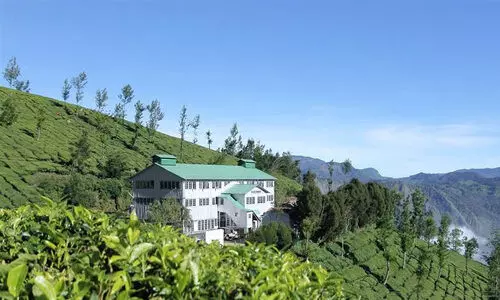 ‘ലോകത്തിലെ ഏറ്റവും ഉയരംകൂടിയ തേയിലത്തോട്ടം!’