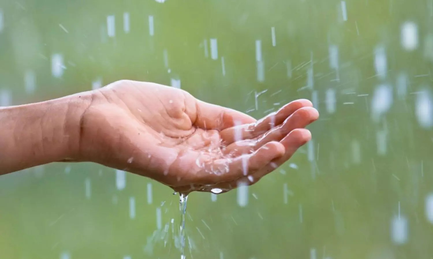 Representation Image