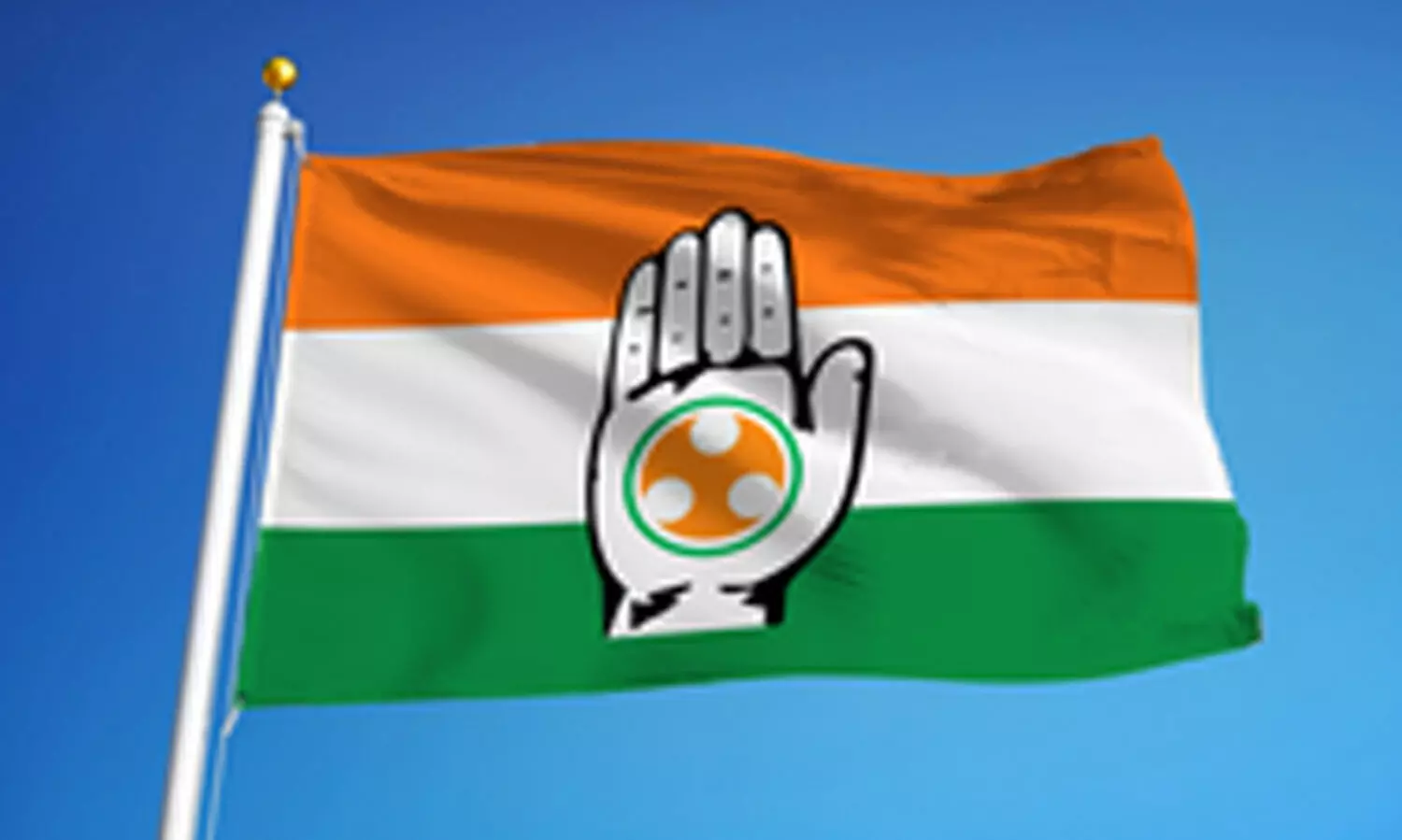 Youth Congress Flag