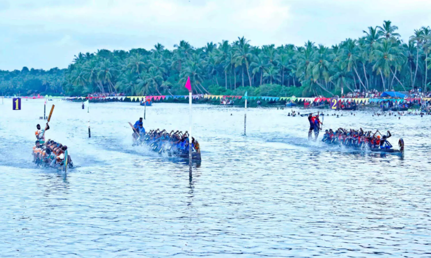 പൊന്നാനി ബിയ്യം കായലിൽ ‘പറക്കും കുതിര’ ജലരാജാവ്