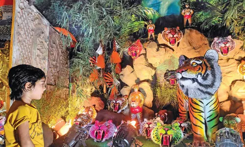 പു​ലി​ക്ക​ളി നാ​ളെ; ആ​വേ​ശ​മു​യ​ർ​ത്താ​ൻ ഒ​മ്പ​ത്​ സം​ഘ​ങ്ങ​ൾ