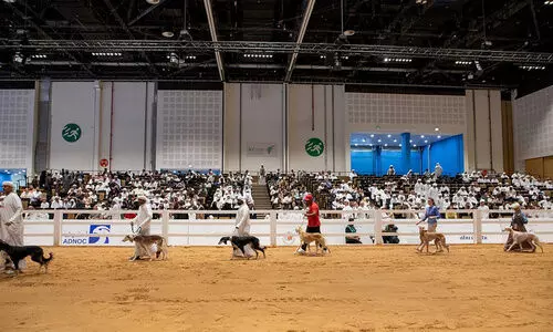 അഡിഹെക്‌സിന് പ്രൗഢമായ സമാപനം