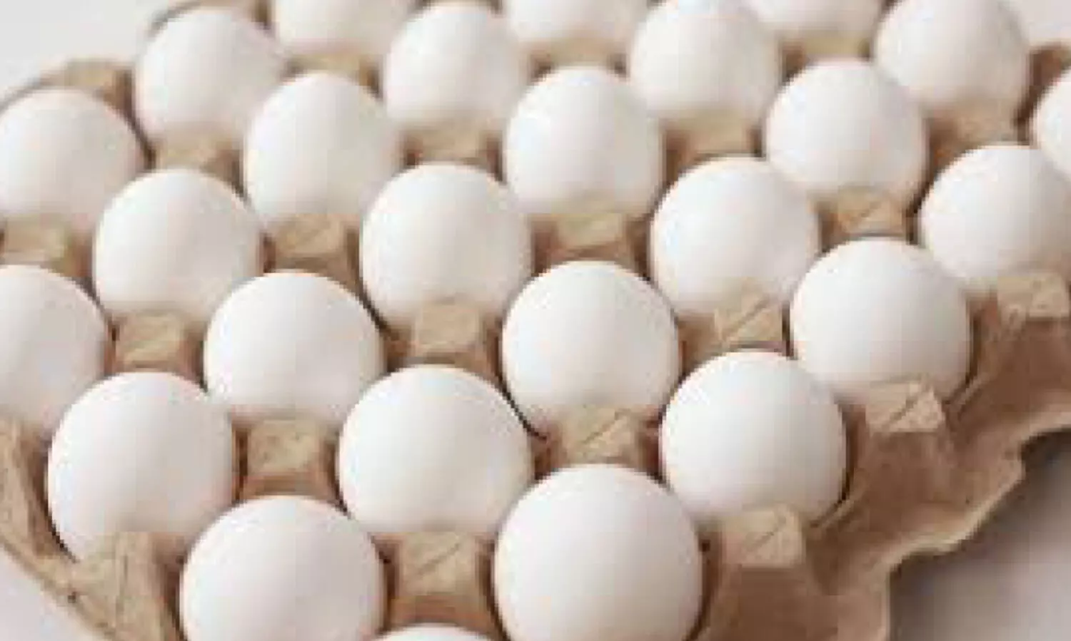 ഭ​ക്ഷ്യ​സു​ര​ക്ഷ ഉ​റ​പ്പാ​ക്ക​ൽ; പ​രി​ശോ​ധ​ന തു​ട​രു​ന്നു