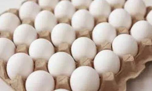 ഭ​ക്ഷ്യ​സു​ര​ക്ഷ ഉ​റ​പ്പാ​ക്ക​ൽ; പ​രി​ശോ​ധ​ന തു​ട​രു​ന്നു