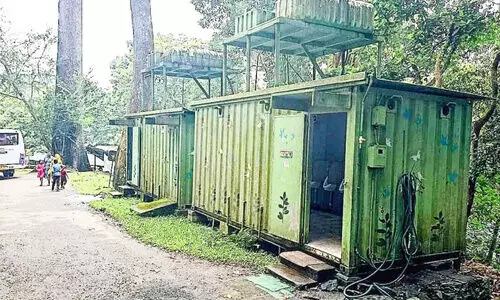 തേക്കടിയെത്തി; മൂക്ക് പൊത്തിക്കോ...