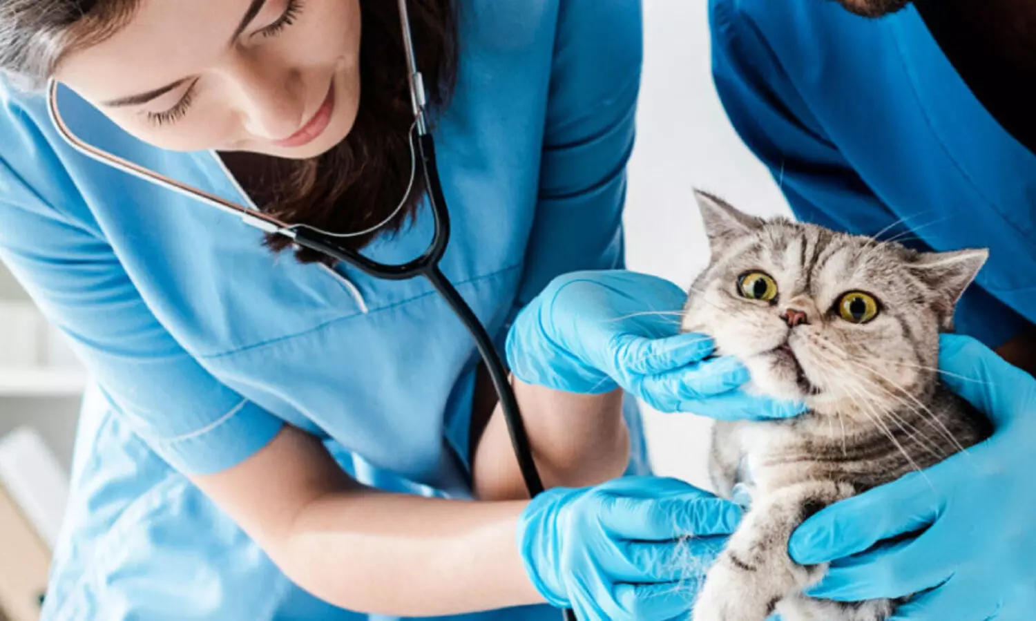 സ്വ​കാ​ര്യ വെ​റ്റ​റി​ന​റി കേ​ന്ദ്ര​ങ്ങ​ളെ പ്ര​തി​കൂ​ല​മാ​യി ബാ​ധി​ക്കും