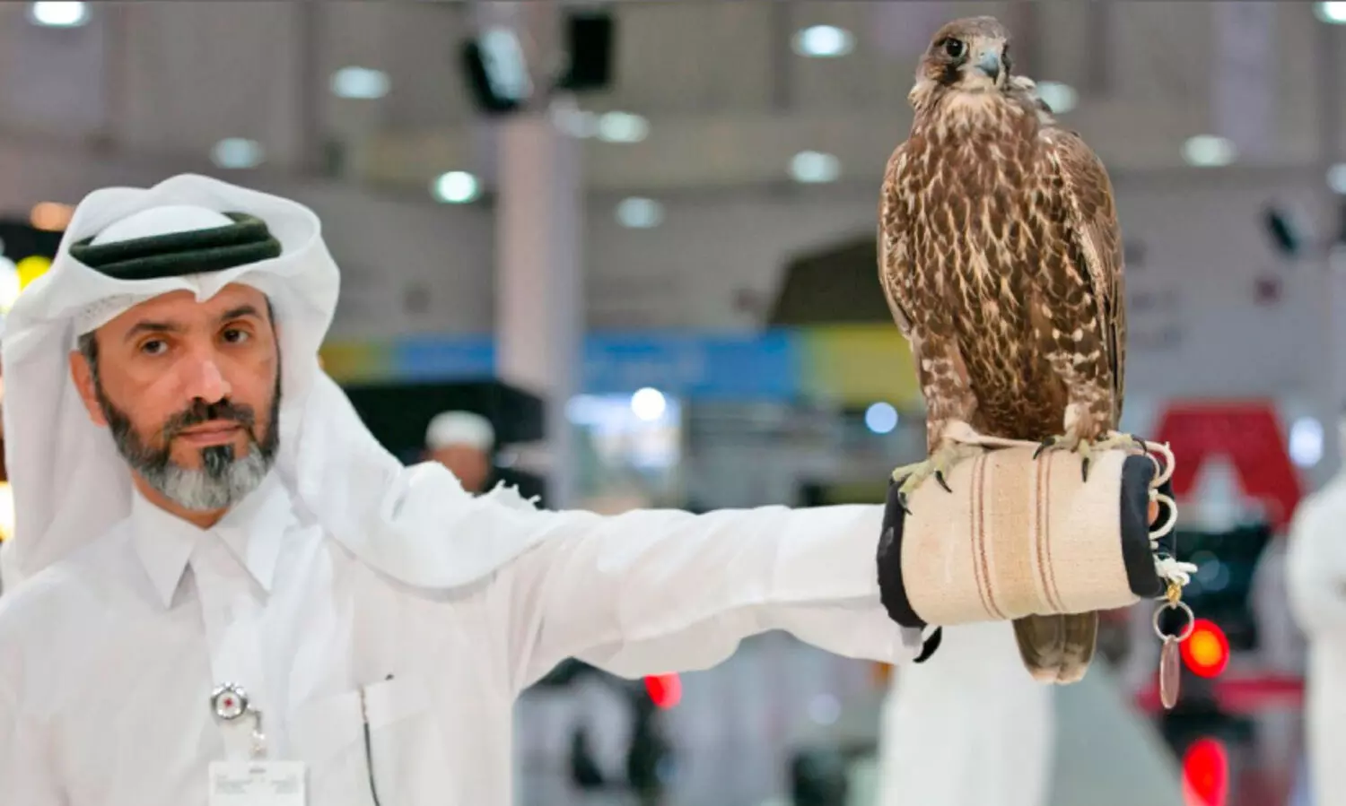 ഫാ​ൽ​ക്ക​ൺ പ്രേ​മി​ക​ളു​ടെ ഉ​ത്സ​വ​കാ​ലം