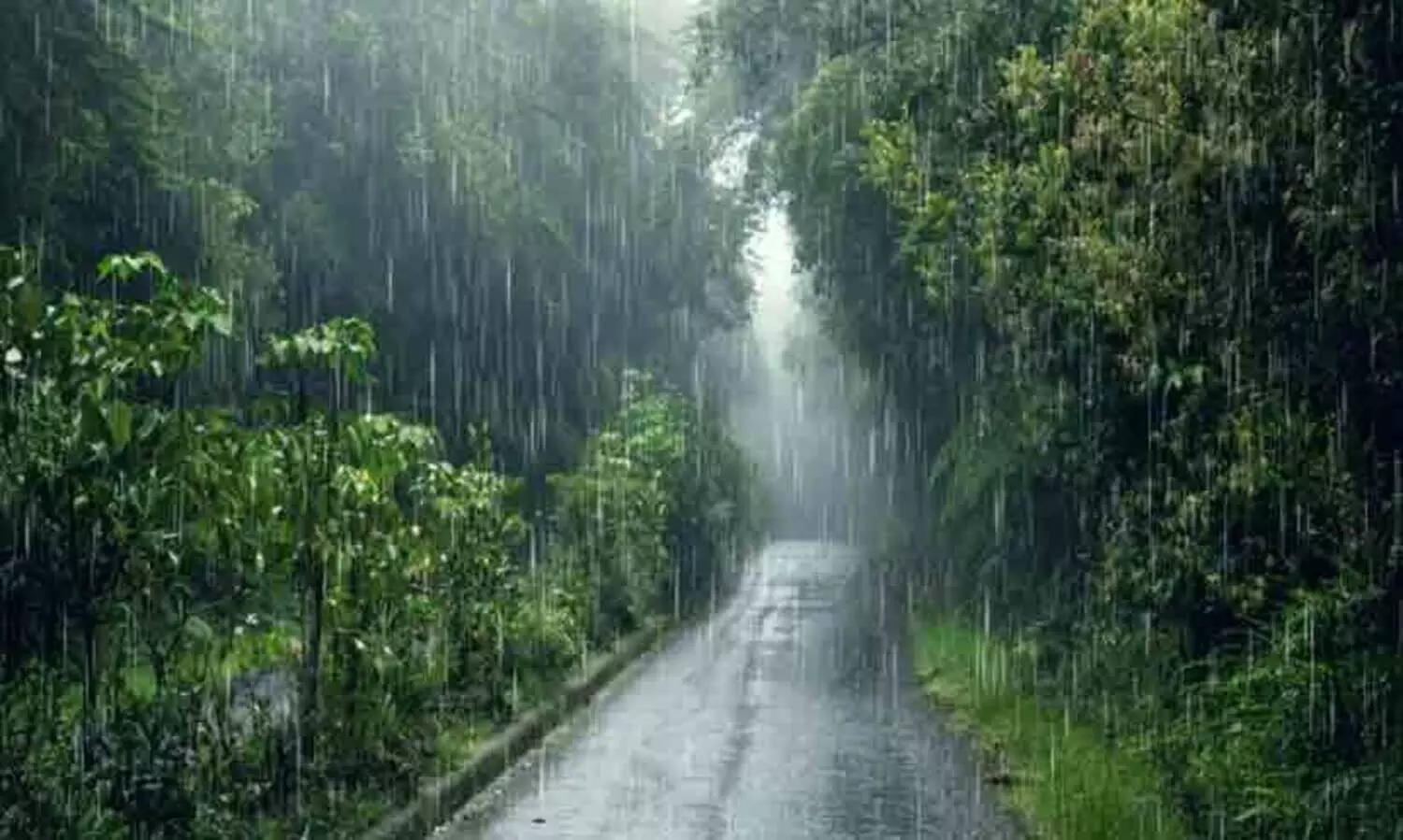 Fossil leaves from Nagaland reveal how Antarctica shaped Indian monsoons