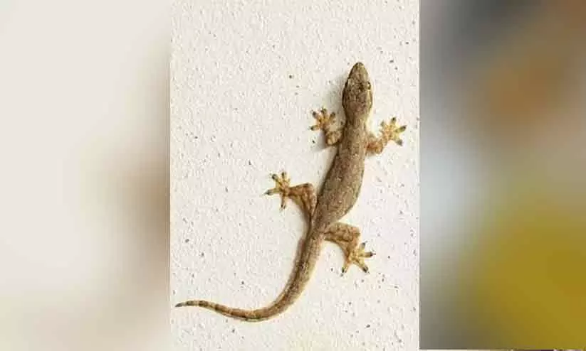 Symbolic Image Symbolic Image