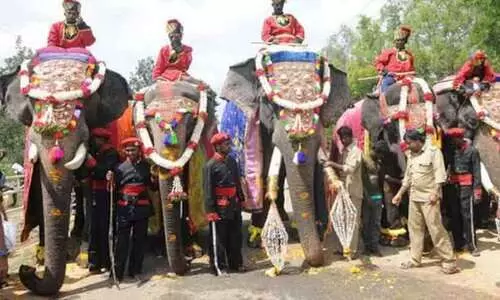 ദ​സ​റ ആ​ഘോ​ഷ​ങ്ങ​ള്‍ക്കാ​യി ആ​ന​ക​ൾക്ക് പ​രി​ശീ​ല​നം ആ​രം​ഭി​ച്ചു