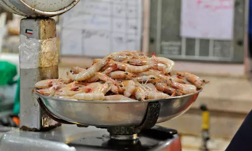 ഈ ​വ​ര്‍ഷം ആ​ദ്യ​പാ​ദ​ത്തി​ല്‍ വി​റ്റ​ത് 508 ട​ൺ മ​ത്സ്യം